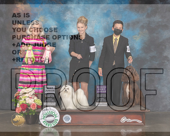Maltese #J753 #J570 Sun BJ RBJ Judge Molly Martin-MMJ_2219-HOUSTON21-HR3
