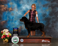 Rottweiler #5 Sun BOB Judge Steve Keating