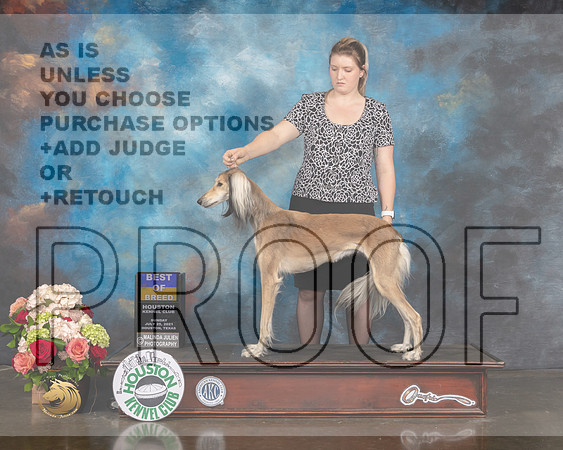 Saluki #18 Sun BOB Judge Molly Martin-MMJ_2271-HOUSTON21-HR3