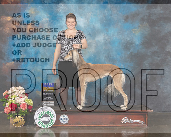 Saluki #18 Sun BOB Judge Molly Martin-MMJ_2276-HOUSTON21-HR3