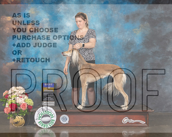 Saluki #18 Sun BOB Judge Molly Martin-MMJ_2275-HOUSTON21-HR3