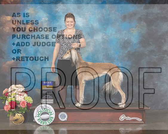 Saluki #18 Sun BOB Judge Molly Martin-MMJ_2277-HOUSTON21-HR3