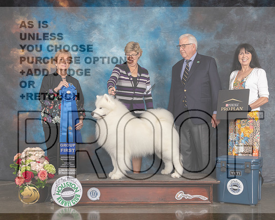 Samoyed #11 Sun G1 Judge Sherry Webster-MMJ_2239-HOUSTON21-HR3