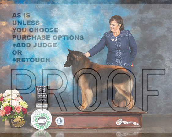 Belgian Tervurent #5 Sun OHG2 Judge Peggy Beisel McIllwaine-MMJ_2374-HOUSTON21-HR3