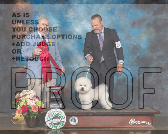Bichon Frise #5 Sun G2 Judge Raymond Filburn-MMJ_2307-HOUSTON21-HR3