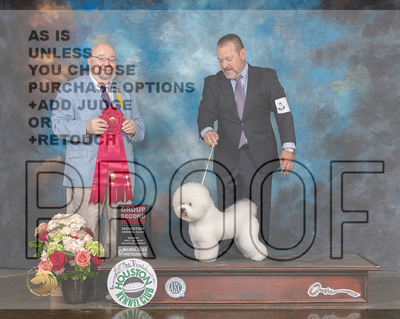 Bichon Frise #5 Sun G2 Judge Raymond Filburn-MMJ_2310-HOUSTON21-HR3