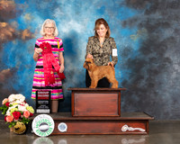 Brussels Griffon #14 Sun G2 Judge Molly Martin