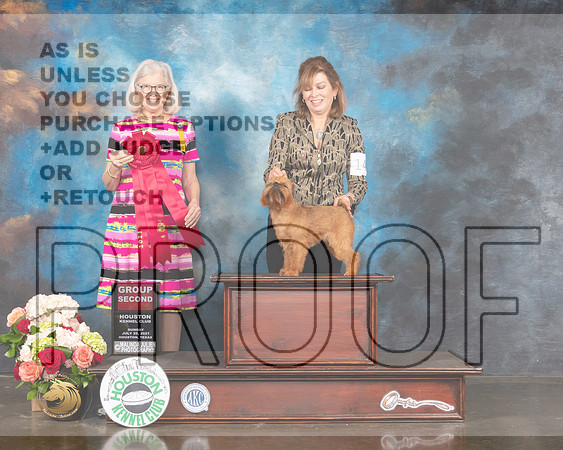 Brussels Griffon #14 Sun G2 Judge Molly Martin-MMJ_2390-HOUSTON21-HR3