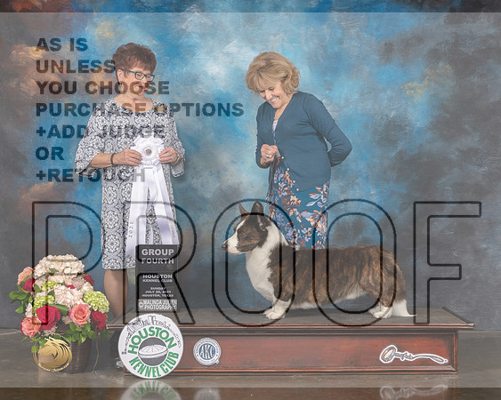 Cardigan Welsh Corgi #5 Sun G4 Judge Debbie Melgreen-MMJ_2361-HOUSTON21-HR3