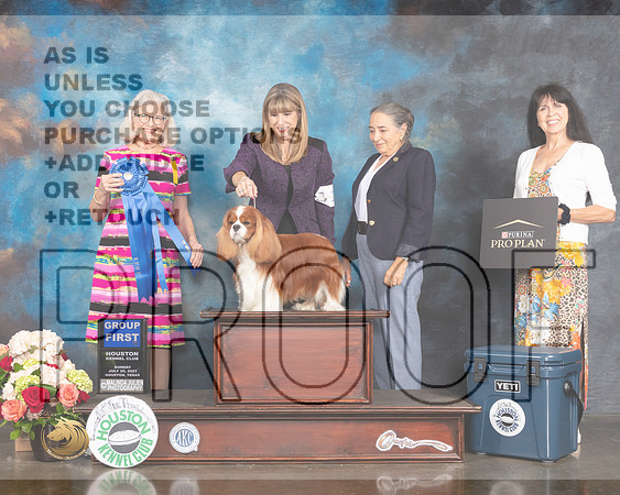 Cavalier King Charles Spaniel #17 Sun G1 Judge Molly Martin-MMJ_2379-HOUSTON21-HR3
