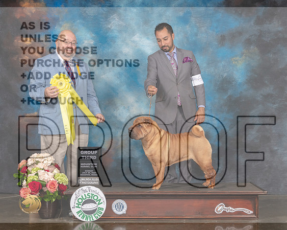 Chinese Shar Pei #6 Sun G3 Judge Raymond Filburn-MMJ_2316-HOUSTON21-HR3