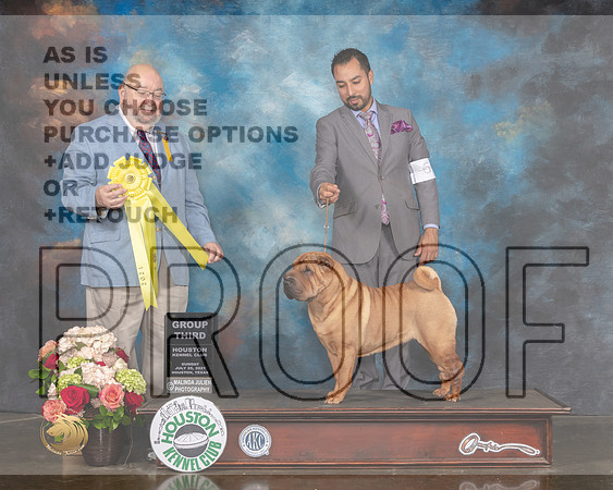 Chinese Shar Pei #6 Sun G3 Judge Raymond Filburn-MMJ_2318-HOUSTON21-HR3