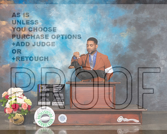 Dachshund Smooth #16 Sun BOV Judge Joseph Gregory-MMJ_2463-HOUSTON21-HR3