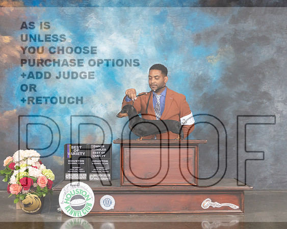 Dachshund Smooth #16 Sun BOV Judge Joseph Gregory-MMJ_2465-HOUSTON21-HR3