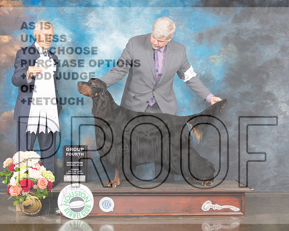 Gordon Setter #5 Sun G4 Judge Joe Gregory-MMJ_2452-HOUSTON21-HR3