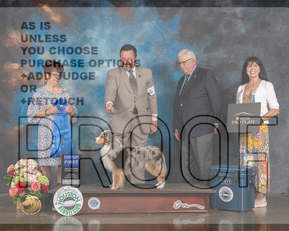 Miniature American Shepherd #14 Sun G1 Judge Debbie Melgreen-MMJ_2346-HOUSTON21-HR3