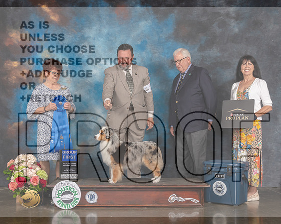 Miniature American Shepherd #14 Sun G1 Judge Debbie Melgreen-MMJ_2350-HOUSTON21-HR3