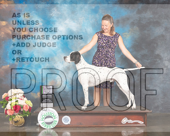 Pointer #9 Sun OHRBIS Judge Dr Steve Keating-MMJ_2529-HOUSTON21-HR3