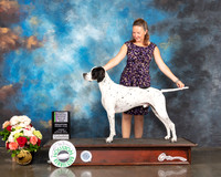 Pointer #9 Sun OHRBIS Judge Dr Steve Keating