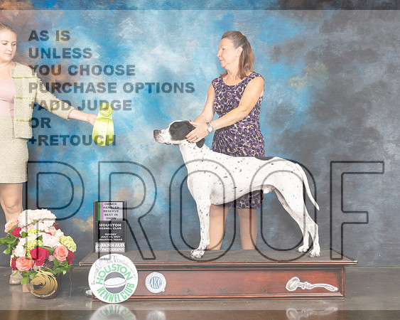 Pointer #9 Sun OHRBIS Judge Dr Steve Keating-MMJ_2532-HOUSTON21-HR3