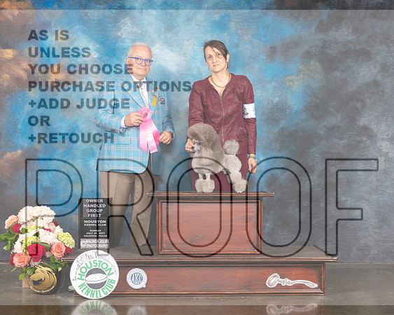 Poodle Miniature #5 Sun OHG1 Judge Dennis McCoy-MMJ_2418-HOUSTON21-HR3