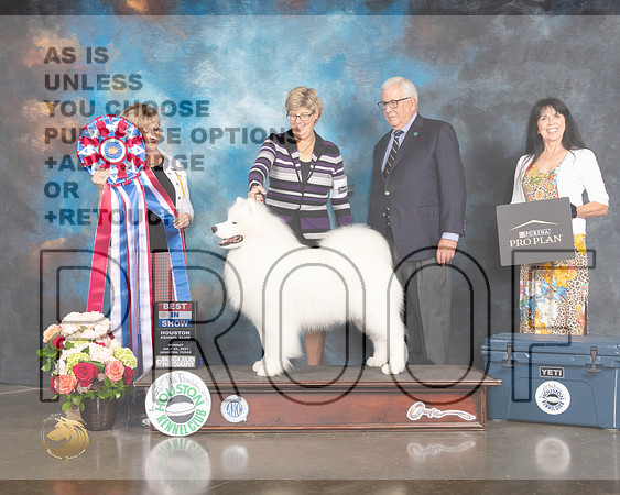 Samoyed #11 Sun BIS Judge Peggy Beisel McIllwaine-MMJ_2480-HOUSTON21-HR3