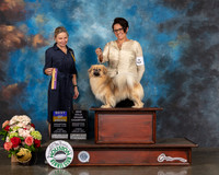 Tibetan Spaniel #5 Sun BOB Judge Evalyn Gregory