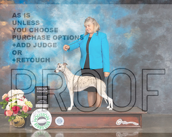 Whippet #26 Sun G4 Judge Dr Steve Keating-MMJ_2434-HOUSTON21-HR3
