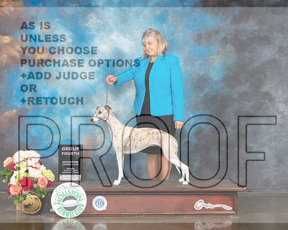 Whippet #26 Sun G4 Judge Dr Steve Keating-MMJ_2435-HOUSTON21-HR3