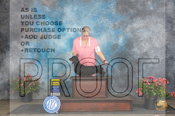 Dachshund #10 Fri G3 Judge Polly (Mrs Robert) D Smith__JP_4362_San Antonio_2024_HR3
