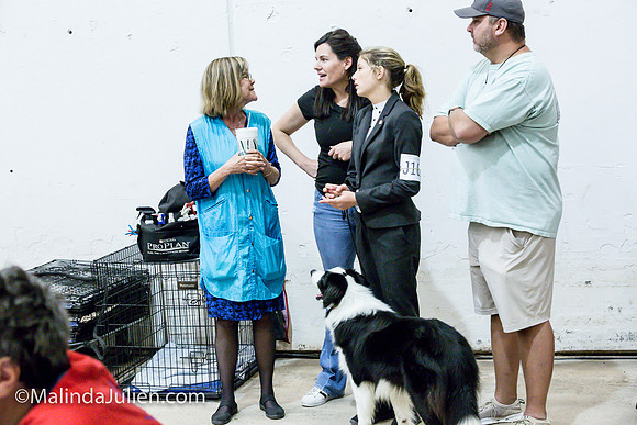 Border Collie #11 Sat Jr Showmanship_MJJL0459
