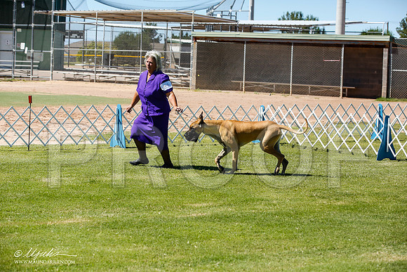 _JN_6355-AlamogordoOct2014-HR3
