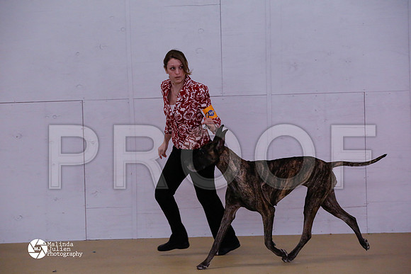 Dane-6307-HtoJan14-HR