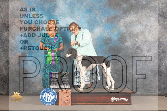 Saluki #20 WED AOM WB Judge Sharon Kinney_MJ_2184_Houston_2022_HR3