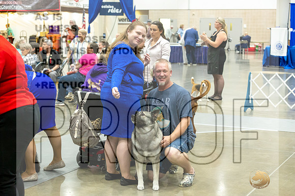 Norwegian Elkhound Rings-JJL_0538-HOUSTON21-HR3