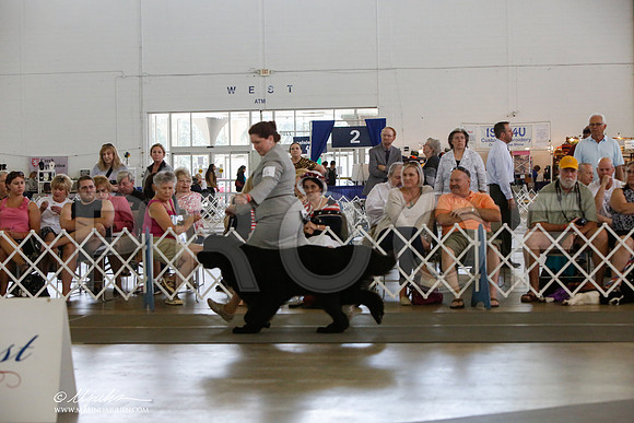_JJ_1923-DallasJul2014-HR3