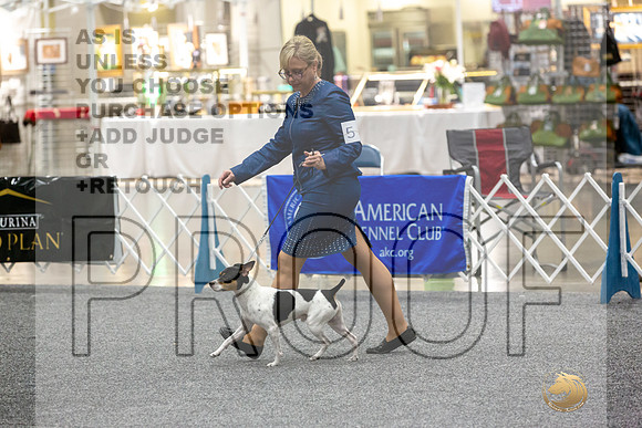 Rat Terrier Rings-JJL_0821-HOUSTON21-HR3