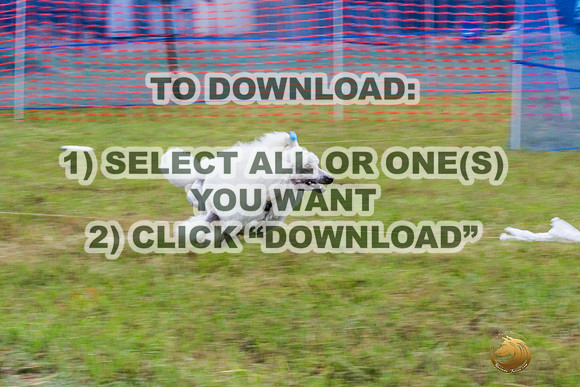 *Precision Coursing Sat-JJL_0953_Batesville_2024-HR3