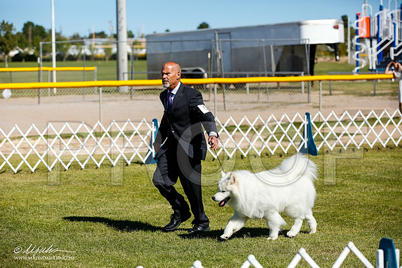 _JJ_9939-AlamogordoOct2014-HR3