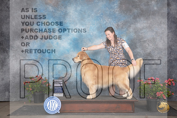 Golden Retriever #35 Sat G4 Judge Wendy G Willhauck__JP_5245_San Antonio_2024_HR3