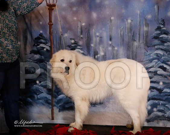 Pyr-6352-MrshlDec13-HR