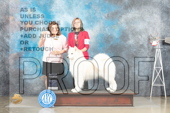 Samoyed #12 Sun G4 Judge Joan Liebes_MJ_5002_Amarillo_2022_HR3