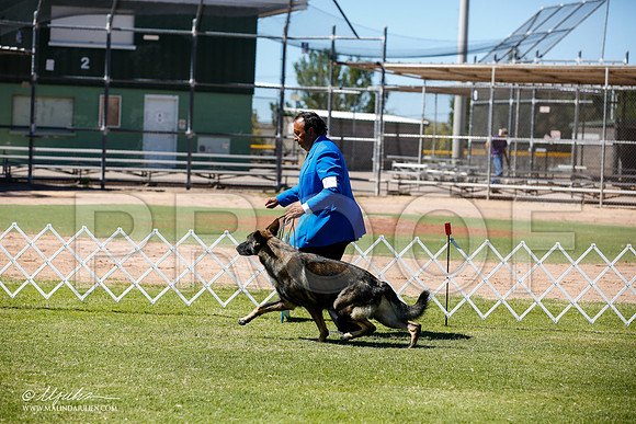 _JN_8948-AlamogordoOct2014-HR3