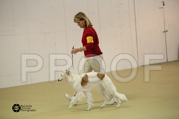 SWIND-0221-HtoJan14-HR