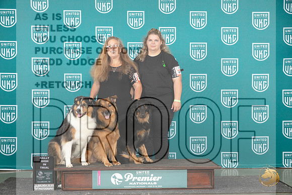 English Shepherd #475 Rally All Stars__JP_3000_Premier_2024_HR3