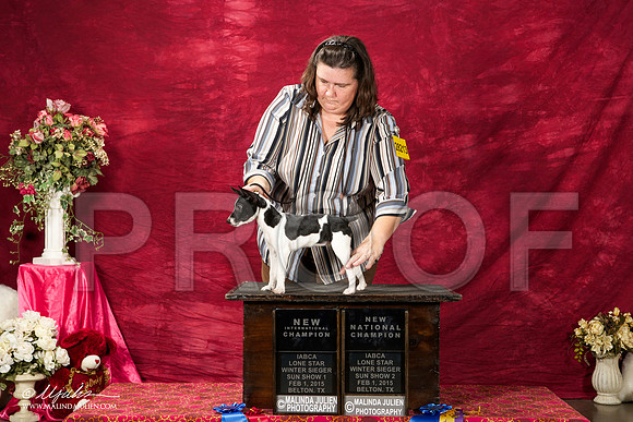 _ST_2962-BeltonJan2015IABCA-HR3
