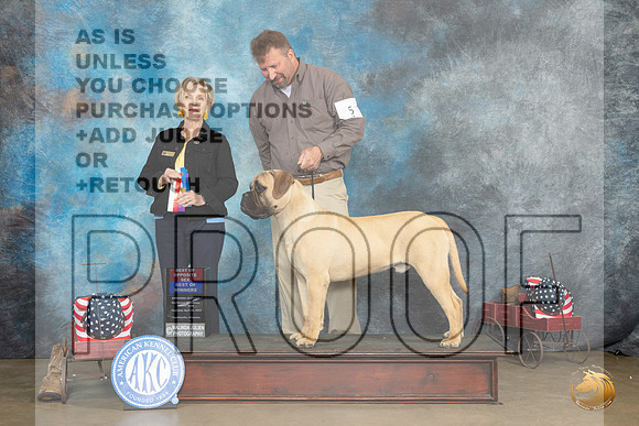 Bullmastiff #5 Thur BOWBOS Judge Jacqueline L Stacy_MJ_5410e_Ark2023_HR3