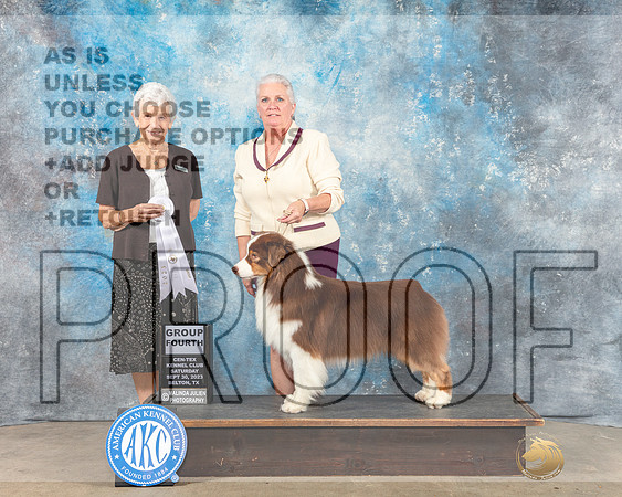 Australian Shpeherd #19 Sat G4 OHG2 Judge Eva Berg-_CL_6463e_Belton2023-HR3