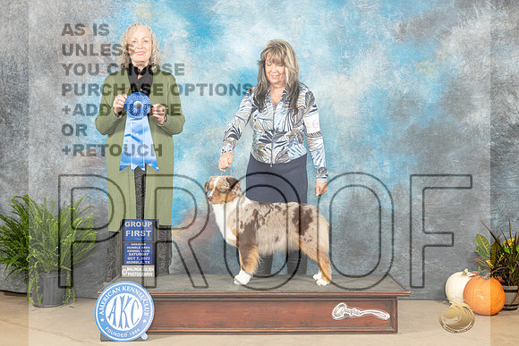 Miniature American Shepherd #6 Sat G1 Judge Kim Meredith-_JP_6835e_Humble2023-HR3