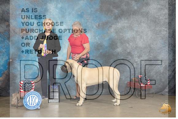Mastiff #5 Thur BOBBOWWB Judge Jacqueline L Stacy_MJ_5380e_Ark2023_HR3